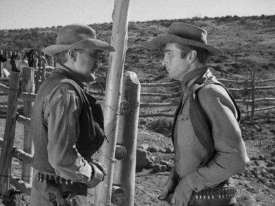 Rawhide