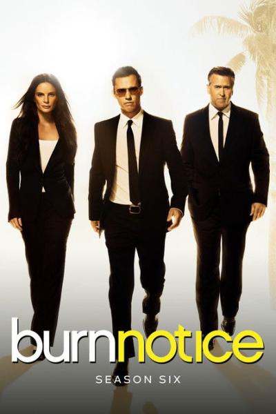 Burn Notice filmas online