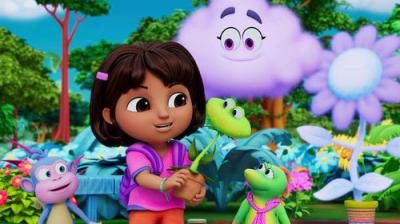 DORA