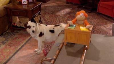 Dog with a Blog