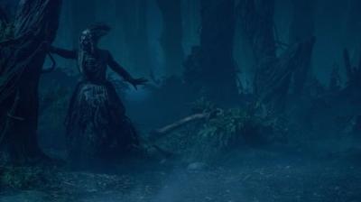 Įdomybių kabinetas