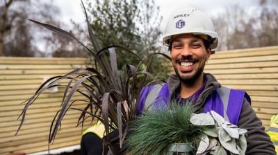DIY SOS