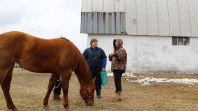 The Incredible Dr. Pol