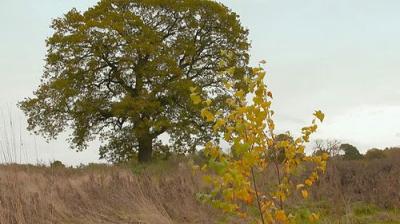 Countryfile