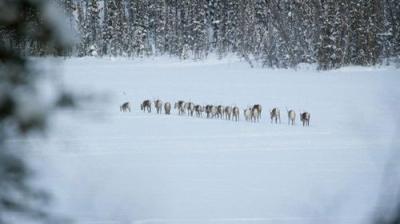 Life Below Zero