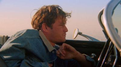 Beverli Hilsas, 90210