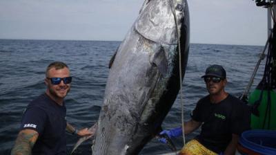 Wicked Tuna