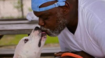 Pit Bulls and Parolees