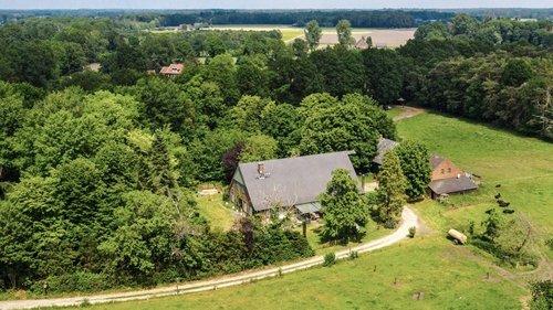 Das Sommerhaus der Stars - Kampf der Promipaare filmas žiurėti online