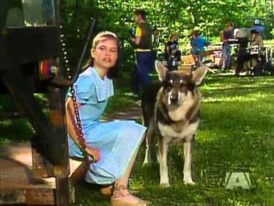 The Littlest Hobo