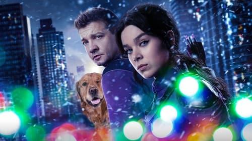 Sakalo akis filmas žiurėti online