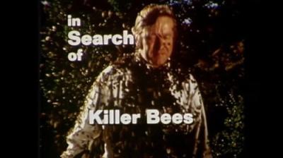 In Search of...