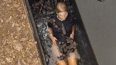I'm a Celebrity...Get Me Out of Here!