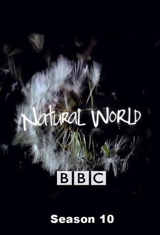 Natural World filmas online