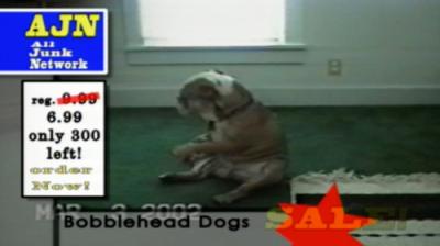 Funniest Pets & People