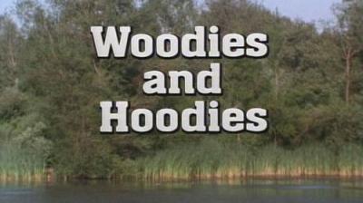 Marty Stouffer's Wild America