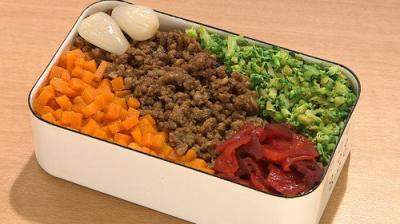 BENTO EXPO