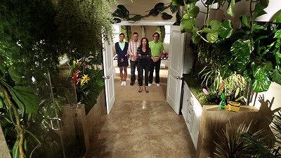 The Neighbors