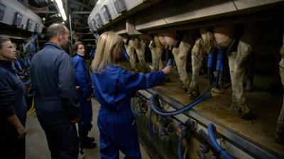 Boer zoekt Vrouw