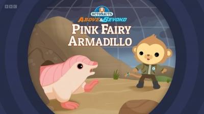Octonauts: Above & Beyond