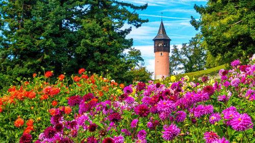 Great Gardens of Europe filmas žiurėti online