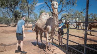 The Amazing Race Australia