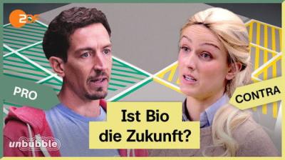 13 Fragen