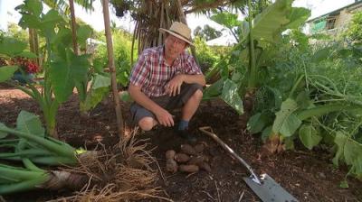 Gardening Australia
