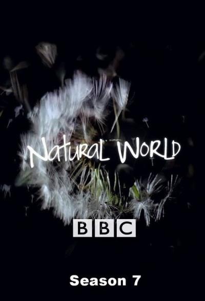 Natural World filmas online