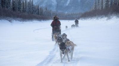 Life Below Zero