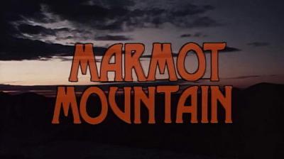 Marty Stouffer's Wild America