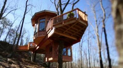 Treehouse Masters