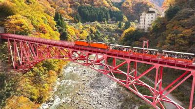 Train Cruise