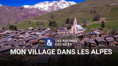 Des racines & des ailes