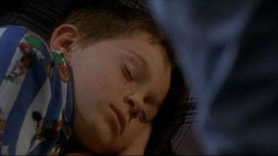 The Inspector Lynley Mysteries