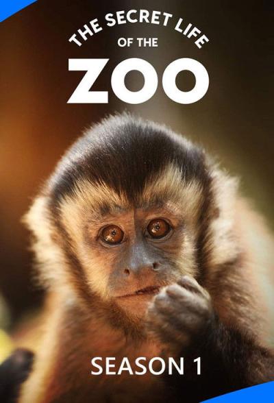 The Secret Life of the Zoo filmas online