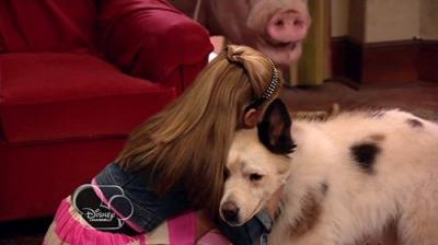 Dog with a Blog