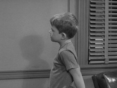The Andy Griffith Show