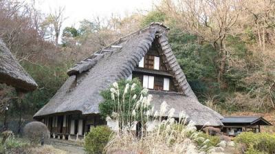 Japanology Plus