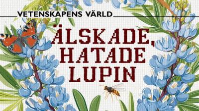 Vetenskapens värld