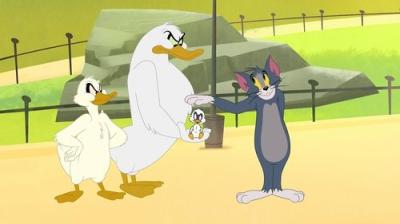 Tomas ir Džeris Niujorke