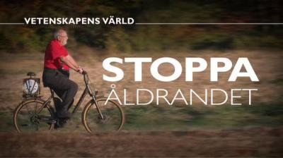 Vetenskapens värld