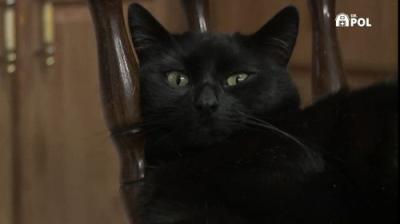 The Incredible Dr. Pol