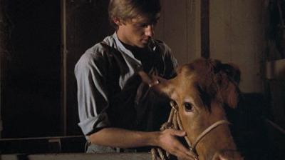 The Waltons