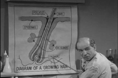 The Dick Van Dyke Show