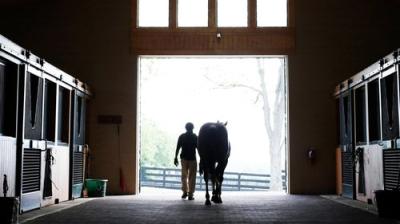 The New York Times Presents