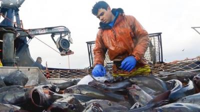 Deadliest Catch