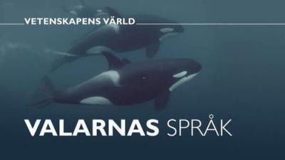 Vetenskapens värld