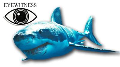 Eyewitness
