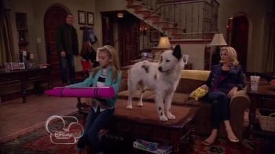 Dog with a Blog